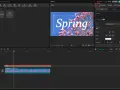 Edytor wideo z opcjami tekstu, gdzie słowo "Spring" jest wyświetlane na tle kwitnącej wiśni.