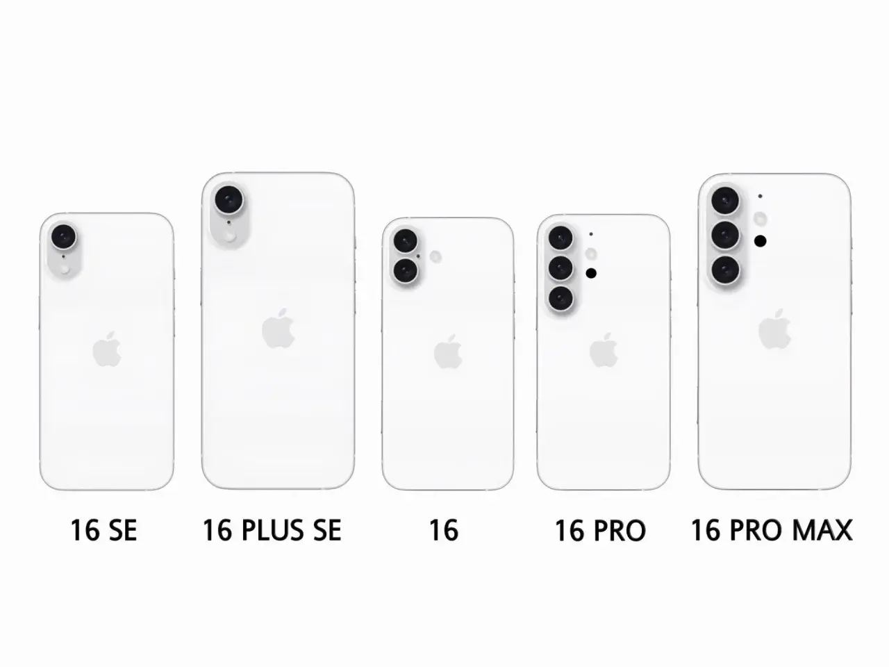Porównanie modeli iPhone 16 SE, 16 Plus SE, 16, 16 Pro i 16 Pro Max. Różnice w wymiarach i układzie aparatów.