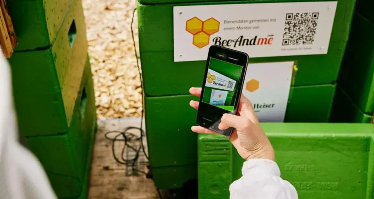 Ręka trzyma smartfon, by zeskanować kod QR na zielonym ulu. Aplikacja BeeAndMe pokazuje podgląd.