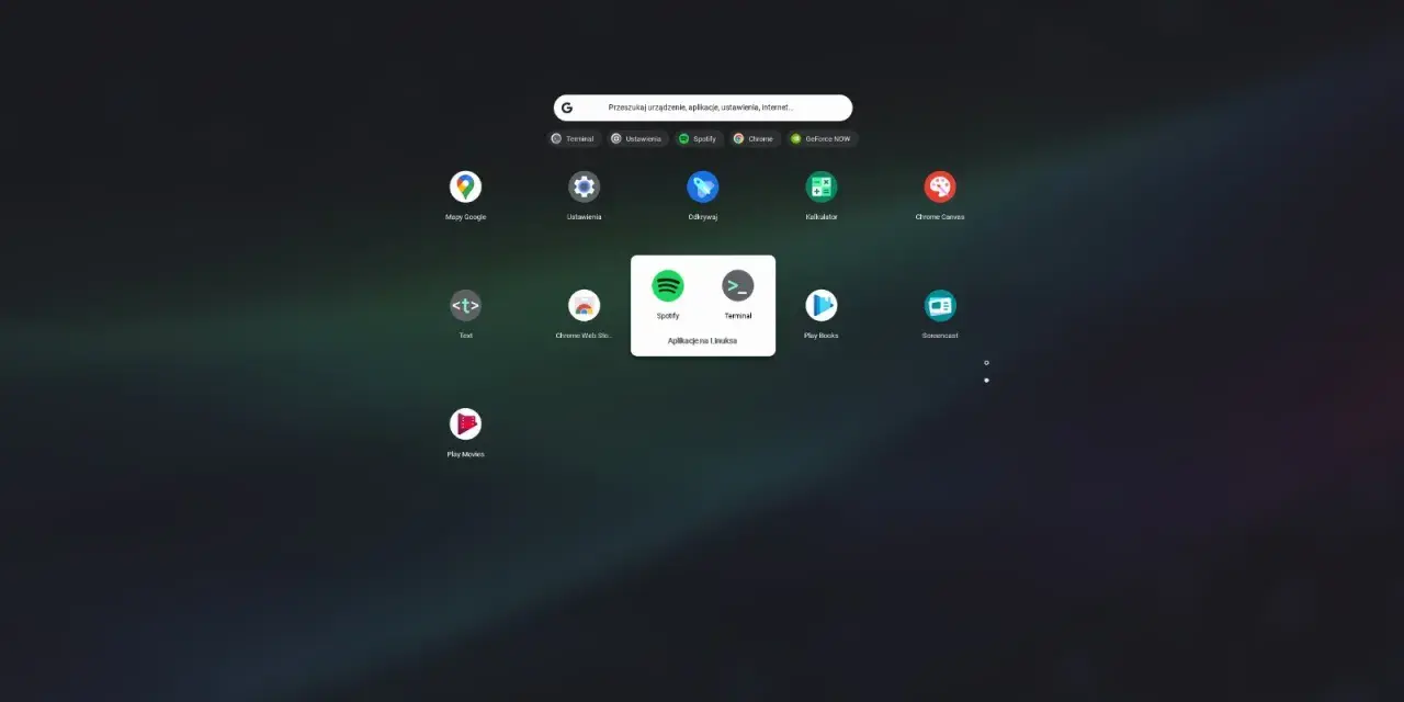 Ekran startowy Chrome OS Flex z ikonami aplikacji, w tym Spotify i Terminal, pogrupowanymi jako "Aplikacje na Linuksa".