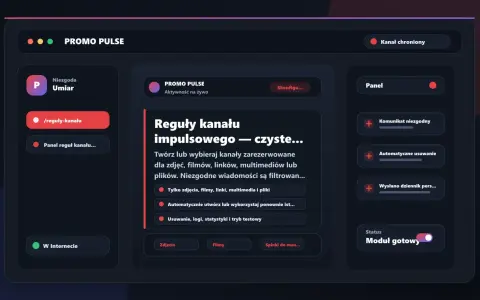 Interfejs przypomina Discorda, pokazując panel zarządzania kanałem "PROMO PULSE" z opcjami konfiguracji, regułami i statusem.