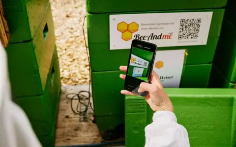 Ręka trzyma smartfon, by zeskanować kod QR na zielonym ulu. Aplikacja BeeAndMe pokazuje podgląd.