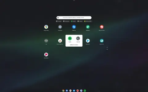 Ekran startowy Chrome OS Flex z ikonami aplikacji, w tym Spotify i Terminal, pogrupowanymi jako "Aplikacje na Linuksa".