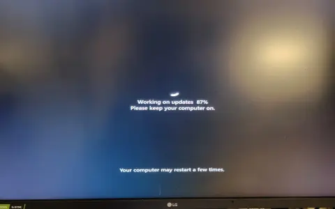 Komputer instaluje aktualizacje Windows 10 ESU. Postęp 87%. Proszę nie wyłączać komputera.