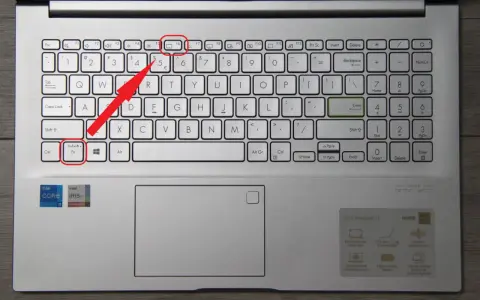 Klawiatura laptopa z zaznaczonymi klawiszami Fn+Esc i F6.
