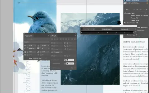 Panel "Typografia" w programie Adobe InDesign, z widocznym ptakiem i górami.