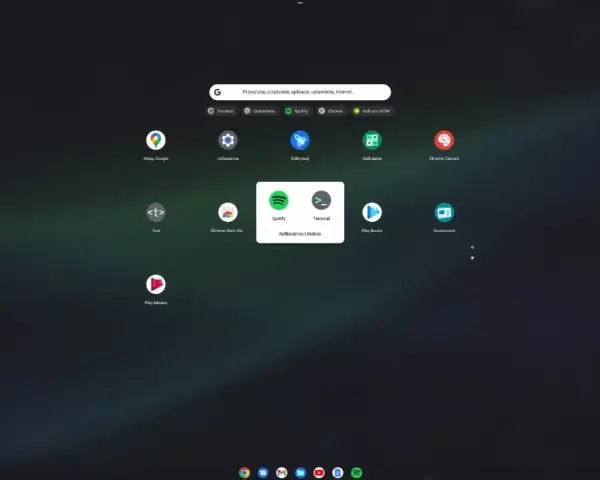 Ekran startowy Chrome OS Flex z ikonami aplikacji, w tym Spotify i Terminal, pogrupowanymi jako "Aplikacje na Linuksa".