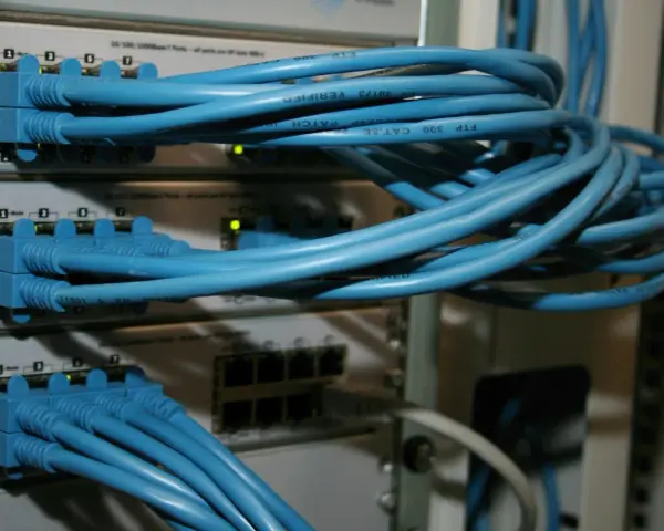 Sieć komputerowa z niebieskimi kablami Ethernet podłączonymi do przełączników. Połączenia peer to peer tworzą infrastrukturę.