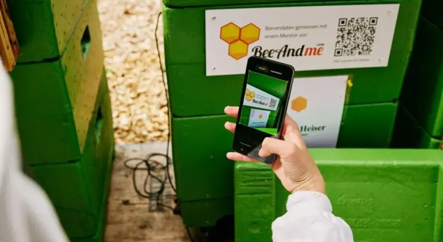 Ręka trzyma smartfon, by zeskanować kod QR na zielonym ulu. Aplikacja BeeAndMe pokazuje podgląd.