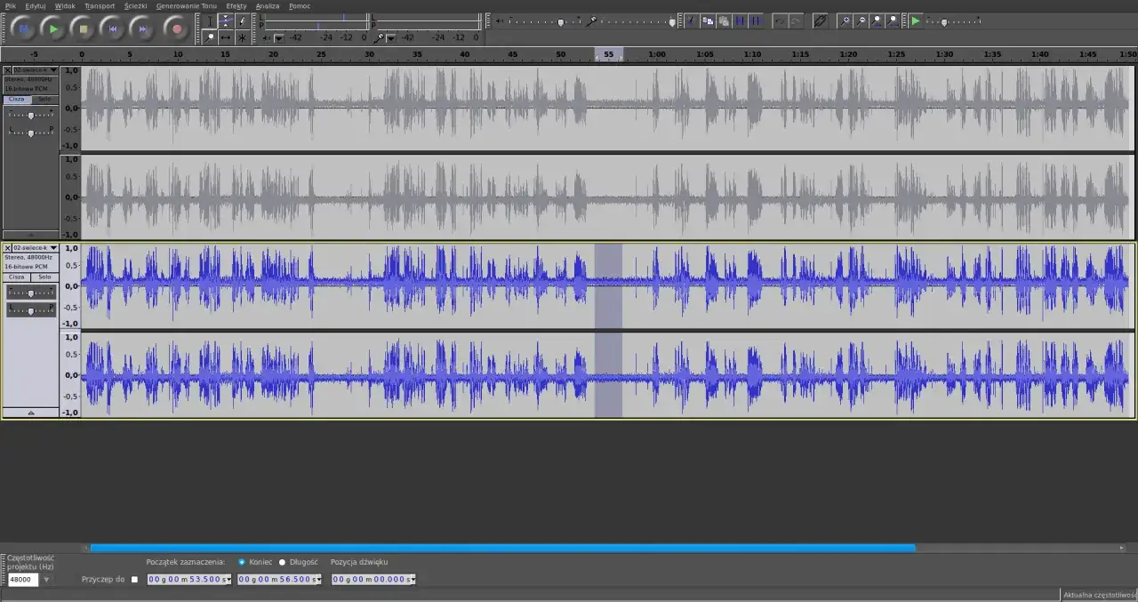 Edycja dźwięku w programie Audacity po polsku. Widoczne dwie ścieżki audio z falami dźwiękowymi, jedna szara, druga niebieska.