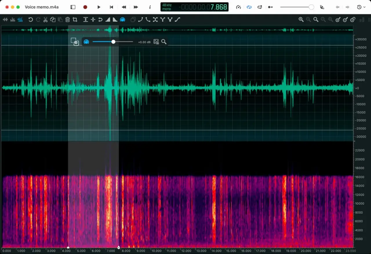 Edycja nagrania w Adobe Audition: fala dźwiękowa i spektrogram pokazują analizę audio.