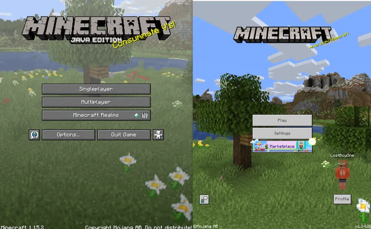 Minecraft Java vs Bedrock comparison